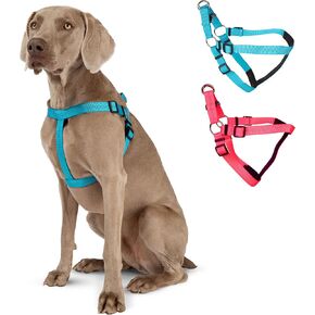 Blazin No Pull Dog Harness - تسخير قابلة للتعديل في سترة نايلون - نيوبرين مبطن للراحة إضافية (متوسطة ، وردي)