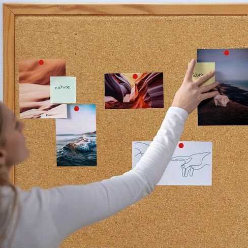 100 PCS White 0.39 Introd Dound Head Dins for School ، Home ، Office Map ، Photo Wall ، و Cork Board ، Reuse (100 ، White) in Kuwait