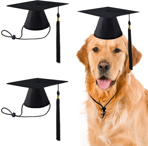 2 Pack Pet Graduation Caps Large Dog Graduation Hats with Black Tassels for Graduation Season Puppy Cats Outfits Holiday Grad Costume Accessories Party Photo Props (Black, Large) in Kuwait
