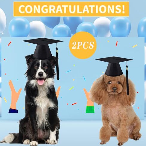 2 Pack Pet Graduation Caps Large Dog Graduation Hats with Black Tassels for Graduation Season Puppy Cats Outfits Holiday Grad Costume Accessories Party Photo Props (Black, Large) in Kuwait