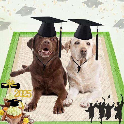 2 Pack Pet Graduation Caps Large Dog Graduation Hats with Black Tassels for Graduation Season Puppy Cats Outfits Holiday Grad Costume Accessories Party Photo Props (Black, Large) in Kuwait