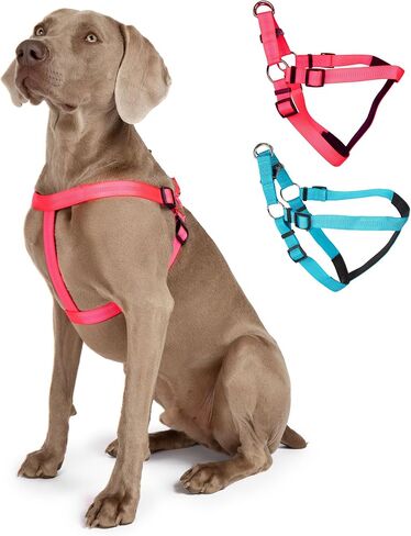 BLAZIN Reflective Dog Harness - 'Color Me Happy!' Adjustable Step-in Reflective Nylon Vest Harness - Neoprene Padded for Extra Comfort (X-Small, Blue) in Kuwait