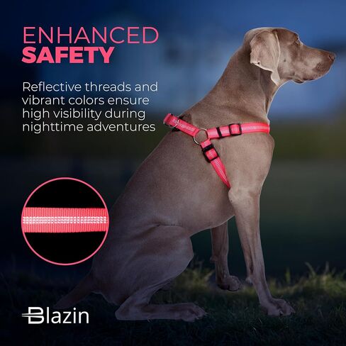 BLAZIN Reflective Dog Harness - 'Color Me Happy!' Adjustable Step-in Reflective Nylon Vest Harness - Neoprene Padded for Extra Comfort (X-Small, Blue) in Kuwait