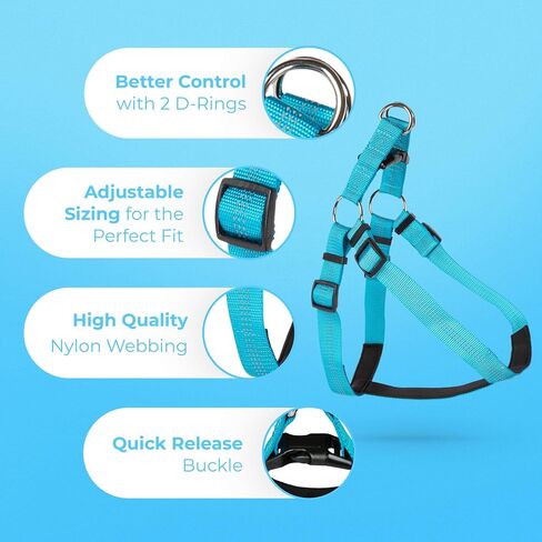 BLAZIN Reflective Dog Harness - 'Color Me Happy!' Adjustable Step-in Reflective Nylon Vest Harness - Neoprene Padded for Extra Comfort (X-Small, Blue) in Kuwait