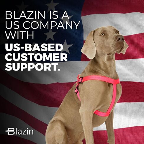 BLAZIN Reflective Dog Harness - 'Color Me Happy!' Adjustable Step-in Reflective Nylon Vest Harness - Neoprene Padded for Extra Comfort (X-Small, Blue) in Kuwait
