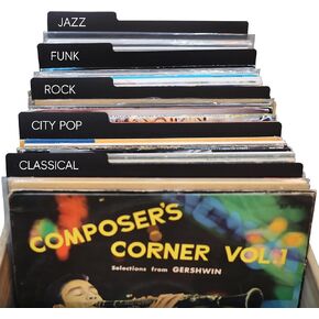 10 PCS Vinyl Record Dividers 12.9 بوصة منظم سجل بلاستيكي أسود من أجل الألبوم و Vinyl DVD Organization Organization