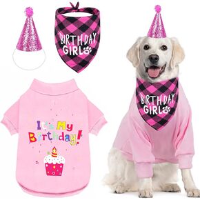 GreenJoy Dog Birthday Party Outfit Decoration Set Supplies - Birthday Bandana, Sweater & Party Hat Gift for Small, Medium & Extra Large Dogs Girl and Boy (X-Small, Birthday Blue)