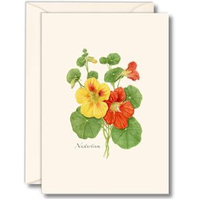 سماء الأرض + الماء - مجموعة Nasturtium notecard - 8 بطاقات فارغة مع الأظرف