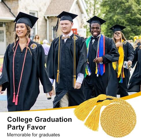 24 Pcs Graduation Honor Cord, Graduation Cords Bulk, Braided Honor Ropes with Tassel, Single Color Braided with Tassel for 2025 Graduated Students (Colorful) in Kuwait