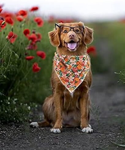 Lionheart glory Dog Bandana 1 Pack Washable Soft Cotton Flower Print Bibs Scarf, Adjustable Kerchief Square Dog Bandanas for Small Dogs in Kuwait