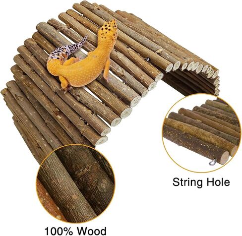 HAMILILYI 19.7 "L X 5.9" W Wooden Reptile Bridge Bridge Bearded Dragon Bendy Climbing Bridge Bridge مع وعاء مياه الطعام الزواحف لـ Lizards Gecko Spiders Snakes Snakes Snakes in Saudi Arabia