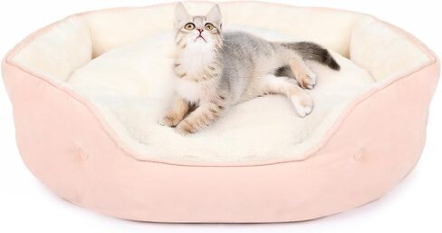 20'' x 19'' x 6'' Small Dog Bed, Oval Cat Bed Washable for Indoor with Non-Slip Bottom and Removable Cushion, Pet Bed for Puppy and Kitten, Peach Pink in Saudi Arabia