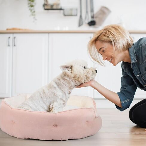 20'' x 19'' x 6'' Small Dog Bed, Oval Cat Bed Washable for Indoor with Non-Slip Bottom and Removable Cushion, Pet Bed for Puppy and Kitten, Peach Pink in Saudi Arabia