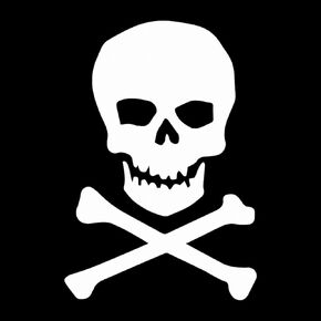 Skull & Crossbones Weatherproof Vinyl Decal - [White][5"]