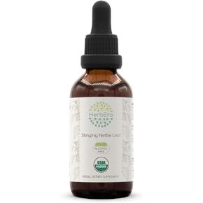 Stinging Nettle Leaf B120 Alcohol-Free Herbal Extract Tincture, Concentrated Liquid Drops Natural Stinging Nettle (Urtica Dioica) 4 fl oz