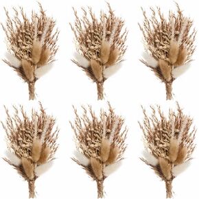 Mini Dried Flower Bouquet Set of 6, Boho Wedding Flower Bouquets, Bridesmaid Bouquet Proposal Box, Pampas Grass Bouquet, Boho Table Decor, Table Centerpieces (Brown-01)