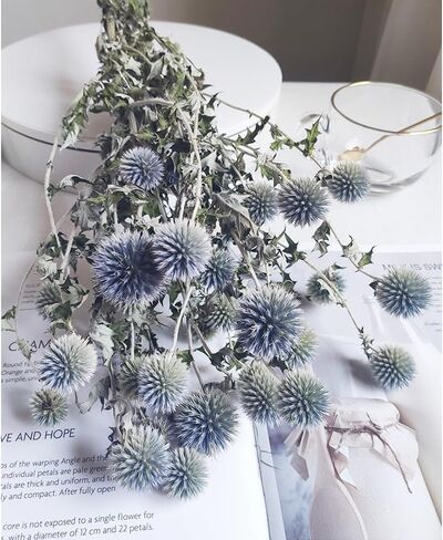 باقة زهور الشوك المجففة الحقيقية باللون الأزرق 16 بوصة زهرة Echinops Globe المحفوظة لحفلات الزفاف ترتيب الزهور الحرفية ديكور منزلي ذاتي الصنع in Kuwait