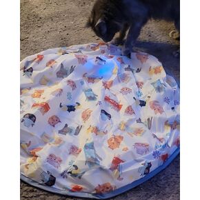 Bdor Interactive Cat Toys Ball ، إخفاء تلقائي وبحث عن لعبة في الحقيبة ، الكرة المنشطة المتحركة للقطط الداخلية ، لعبة ألغاز القط ، ثلاثة طرز ، مصابيح LED