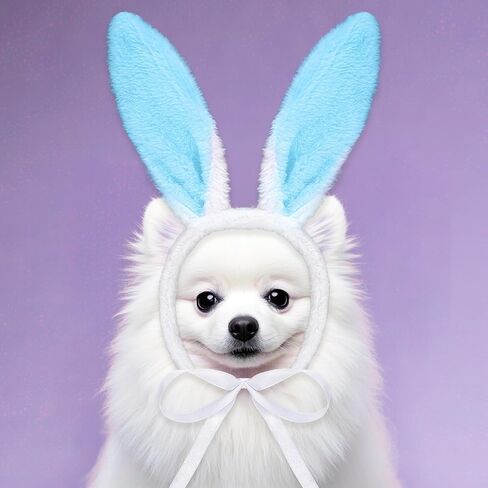 Easter Dog Bunny Ears عصابة رئيس الرأس من أذن الأرنب لأذن أذن للحيوانات الأليفة إكسسوارات الأزياء المضحكة (الأزرق الأبيض) in Kuwait