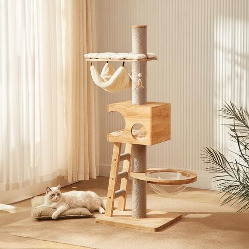 63-inch Modern Cat Tree, Luxury Cat Tower with Scratching Post, Unique Cat Condo with Hammock, Heavy Duty Kitty Climbing Tree for Indoor Cat, Wooden Kitty House for Small Medium Large Cats in Saudi Arabia