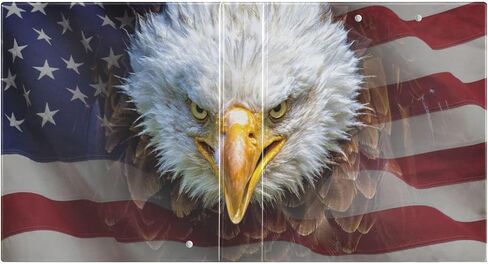 3 Ring Binder American Eagle Bald Flag 1.5 inch Binders Three Ring Binders with Clipboard Fit 8.5'' x 11'' Paper 3 Interior PVC Clear Pockets for Office Supplies in Saudi Arabia