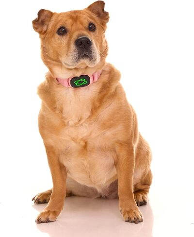 Dog Bark Collar,Dog Training Collar with remote-2600 ft,Non Shock,Adjustable Fit,for Small,Medium,Large Dogs, Advanced Technology with Remote, Automatic Bark Collar, Rechargeable,Anti-Barking,Pink in Kuwait