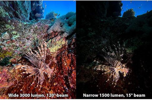 SEALIFE Sea Dragon 3000SF Pro Dual Beam Compact Underwater Scuba Diving Photo-Video COB LED Light, LED-Light Head Only in Saudi Arabia