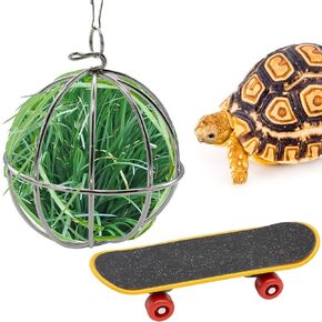 Tortoise Treat Ball و Mini Turtle Skateboard مجموعة ، تدريب ألعاب التزلج على التزلج وسلحفاة تعامل مع تعليقات التغذية التغذية على سلحفاة سلحفاة للحيوانات الأليفة تجمع الحيوانات الصغيرة