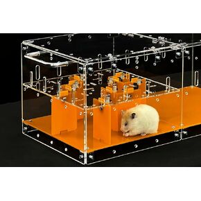 Guinealoft ™ Small Pet Maze - قم ببناء متاهة صغيرة من الحيوانات الأليفة بأسلوبك الخاص. مسامير الإبهام لسهولة التثبيت ، DIY قابلة للتوسيع ، مناسبة للحيوانات الصغيرة التي تحب استكشافها - غينيا لوفت الحصرية