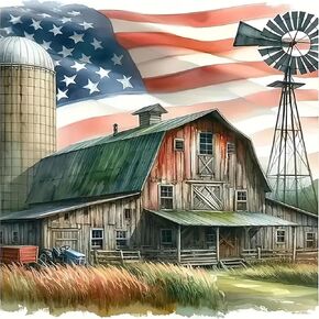 مجموعات فنون الماس American American Farm American للبالغين ، ومجموعات الطلاء من الماس 5D للمبتدئين البالغين ، و DIY كامل الجولة الحفر Diamomn