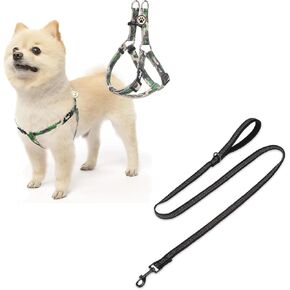 Pupteck Dog Harness and Leash