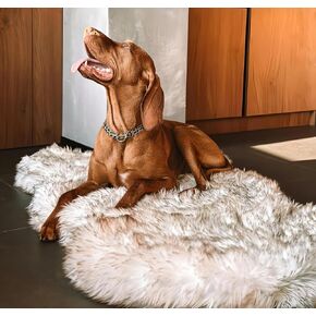 Ihappydog الفاخرة الفراء الفراء سرير الكلب العظمية ، وسرير الكلب الرغوة للذاكرة للحيوانات الأليفة الصغيرة ، والمتوسطة ، والكبيرة ، و XL ، وسجاد الحيوانات الأليفة الرقيق مع غطاء مقاوم للماء وقابل للغسل ، أبيض ، 60x35 العملاقة