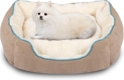 20'' x 19'' x 6'' Small Dog Bed, Rectangle Cat Bed Washable for Indoor with Non-Slip Bottom and Removable Cushion, Pet Bed for Puppy and Kitten, Camel in Kuwait