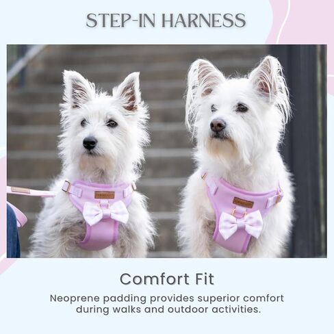 Step in Dog Harness, No Pull No Choke, Durable Polyester Breathable mesh, Adjustable Strap, Quick Release Gold Hardware Metal Buckle, Soft Edges for Comfort (Pink, Medium) in Saudi Arabia