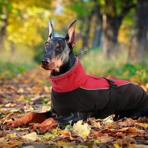 IDOMIK Dog Winter Coat - Reflective Waterproof Jacket for Cold Weather, Warm Fleece Snow Jacket with High Collar, Adjustable Buckle, Small to Large Sizes in Kuwait