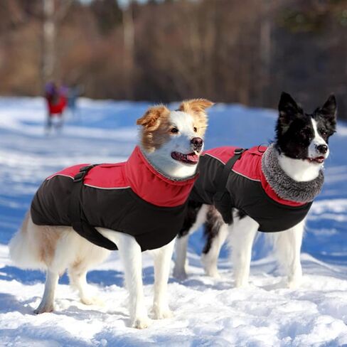 IDOMIK Dog Winter Coat - Reflective Waterproof Jacket for Cold Weather, Warm Fleece Snow Jacket with High Collar, Adjustable Buckle, Small to Large Sizes in Kuwait