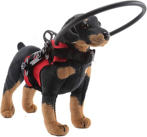 Blind Dog Bumper Guards, Easy Fixation Pet Harness Guiding Device Lightweight Unhindered Mobility High Comfort for Blind Pets (S) in Kuwait