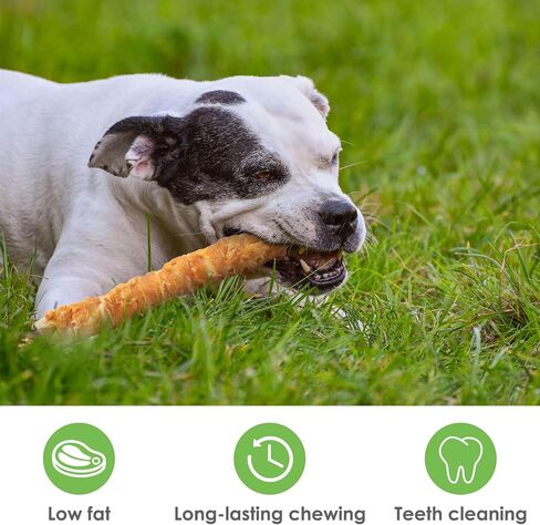 MON2SUN Dog Treats, 9 Inch Chicken Wrapped Rawhide Rolls Dog Snacks, Teeth Cleaning and Long Lasting Dog Chews for Medium and Large Dogs, 23.28oz (6 Count-Pack of 1) in Kuwait