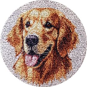 Golden Retriever DIY Latch Hook Kits Brug Round Round Frant Crochet Yarn Yarn Enterlework Hook و Latch Kit Caspet Cushion Home Christmas Decoration 50x50cm (3)