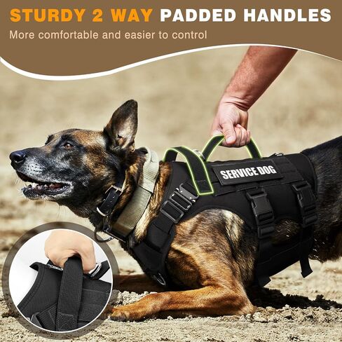 WINSEE Tactical Dog Harness with Dog Leash, Service Working MOLLE Vest with 10 Pet Patches for Medium Dog, No Pull Military Harness and Backpack for Training Hunting Walking in Saudi Arabia