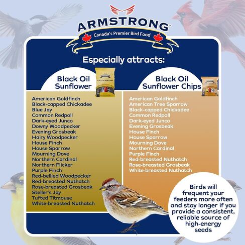 Armstrong Wild Bird Food Black Oil Sunflower Chips, 20 Pounds - for Northern Cardinals, American Goldfinches and Black-Capped Chickadees - Ideal for Outside Feeders in Saudi Arabia