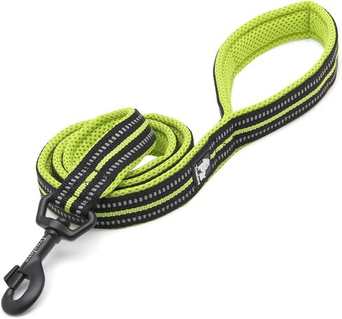 WINHYEPET True Love Dog Leash Nylon Sandwich Fabric Comfort Reflective Safety Washable Dogs Belt Suitable for All Kinds of Dog Breeds Length 200cm Can be Used Together with Harness TLL2112(Red,S) in Saudi Arabia