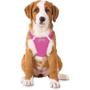 Doggie Design Dog Harness - No Choke Dog Harness, Dog Vest, Mesh Polyester, Pet Harness, Simple Step in and Go Design, Harness for Dog - Red, 2X-Large