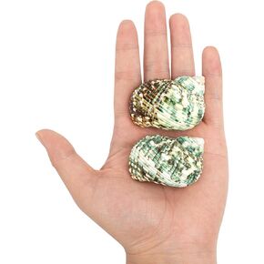 2pcs قذائف سلطعون الناسك البوتيك الصغيرة ، 2 "-2.6" قذائف السلطعون الطبيعية الناسفة حجم الافتتاح 0.7 " - 0.9" ، من أجل قذائف نمو توربو من الناس