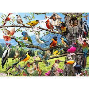 Jigsaw Buzzles 500 قطعة ، ألغاز الطيور البرية للبالغين ، لغز الطبيعة مع الطيور الطنانة والزهور اللغز 500 قطعة ملونة