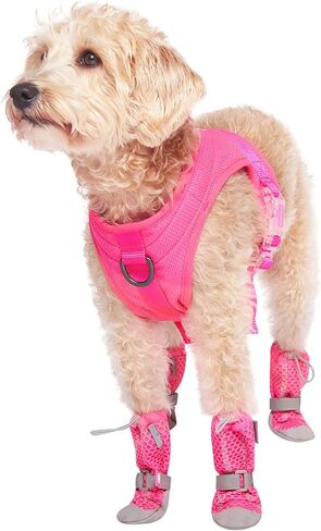 Canada Pooch Dog Boots for Hot Pavement - Dog Boots & Paw Protectors with Anti Slip Rubber | Water Friendly, Breathable Dog Shoes for Hot Days, Great for Dogs Neon Pink - Size 4 in Kuwait