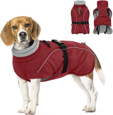 Queenmore Winter Dog Coat Warm Dog Jacket Vest Waterproof Puffer Fleece Snowsuit Adjustable Buckle Leash Hole Reflective Cold Weather Parka for Small Medium Large Dogs Girl Boy Orange L in Saudi Arabia