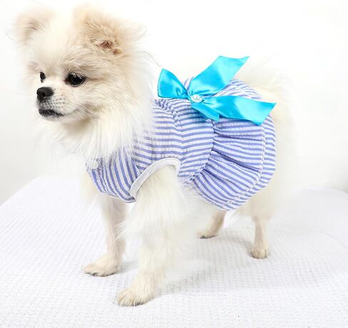 Dog Dress, Cute Pet Princess Dresses with Bright Color Design, Sweet Bowknot, Dog Clothes for Small Dogs Girl, Breathable & Lightweight, for Spring Summer, 2 Pack (Rose PinkBlue, X-Small) in Saudi Arabia