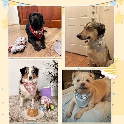 Bandana for Dog Birthday Boy & Girl - Supplies for Small, Medium & Large Pets in Saudi Arabia