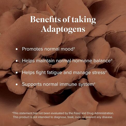 Isagenix Ionix Supreme - مكمل مسحوق مع فيتامين ب 12 والنياسين - مكمل مركز للمساعدة في صحة الدماغ - مكمل دعم المناعة - عبوات 0.3 أونصة (30 عصا) in Kuwait